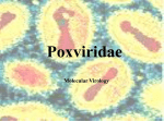 Poxviruses