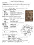 12_skeleton_upper_appendicular-29sept2016