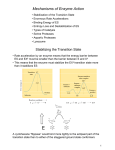 Mechanisms of Enzyme Action - Chemistry at Winthrop University