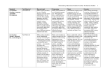 Elementary Education Rubric