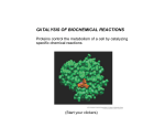 CATALYSIS OF BIOCHEMICAL REACTIONS