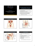 Chapter 26 Powerpoint lecture