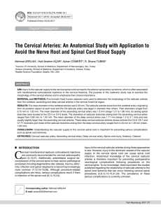 The Cervical Arteries - Turkish Neurosurgery