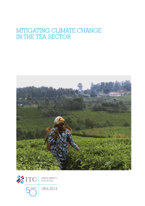 mitigating climate change in the tea sector