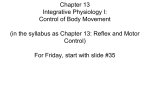 Integrative Physiology I: Control of Body Movement