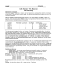 LAB- Beanium_CP Chemistry