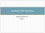 Animal Life Systems
