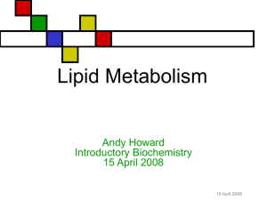 LipidMetabolism