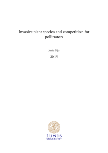 Invasive plant species and competition for pollinators