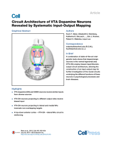 Circuit Architecture of VTA Dopamine Neurons Revealed by
