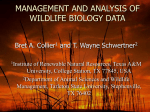 Breeding and Non-breeding Survival of Lesser Prairie