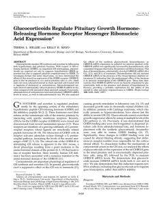 Glucocorticoids Regulate Pituitary Growth Hormone