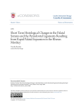 Short Term Histological Changes in the Palatal Sutures and the