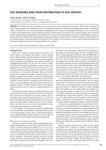 Soil microbes and their contribution to soil services