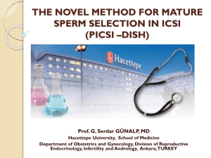 icsi sperm selection by ha binding