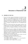 Structure of Bacterial Cell