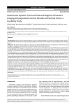 Quantitative Dynamic Contrast-Enhanced Magnetic Resonance