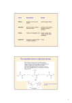 The peptide bond is rigid and planar