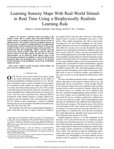 Learning sensory maps with real-world stimuli in real time using a