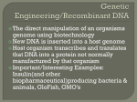 Genetic Engineering/Recombinant DNA