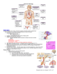 Posterior Pituitary Disorders