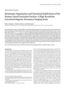 Retinotopic Organization and Functional Subdivisions of the Human