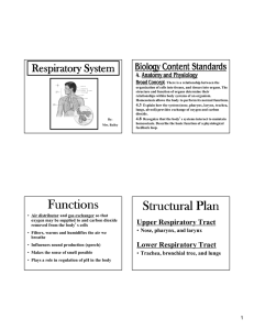 Functions Structural Plan
