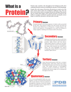 Protein?