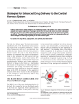 Strategies for Enhanced Drug Delivery to the Central Nervous System