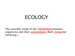 ecology - Newton County Schools