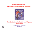 2. Section 2: The Skeletal System