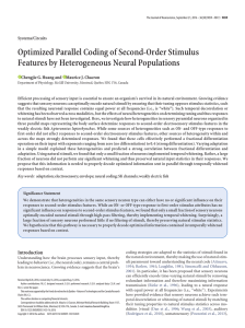 Optimized Parallel Coding of Second