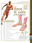 contents - Village Podiatry Centers