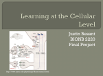 Learning at the Cellular Level