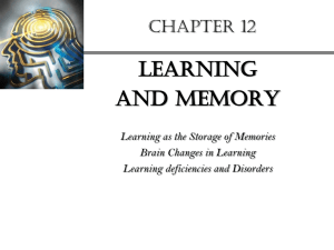 Long Term memory