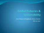 Global Fisheries