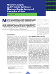 Mineral Catalysis and Prebiotic Synthesis: Montmorillonite