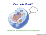 Can cells think?