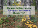 Ecological Succession