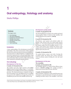 Oral embryology, histology and anatomy