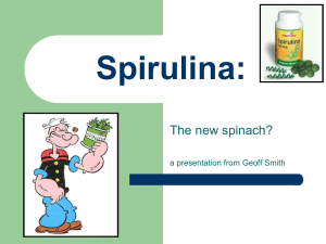 Spirulina