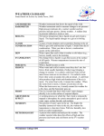 lung volumes and capacities