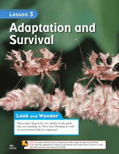 Lesson 3 Adaptation and Survival