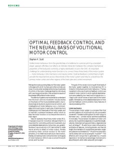 optimal feedback control and the neural basis of volitional motor