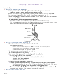 Embryology_Objectives heart 2008