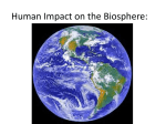 Human Impact on the Biosphere: