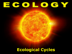 Ecology Cycles PreAP web
