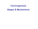 More on carcinogenesis stages and mechanisms