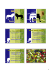 Species richness ( Species richness (物種豐富度) Relative