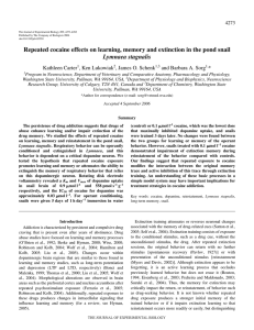 Repeated cocaine effects on learning, memory and extinction in the